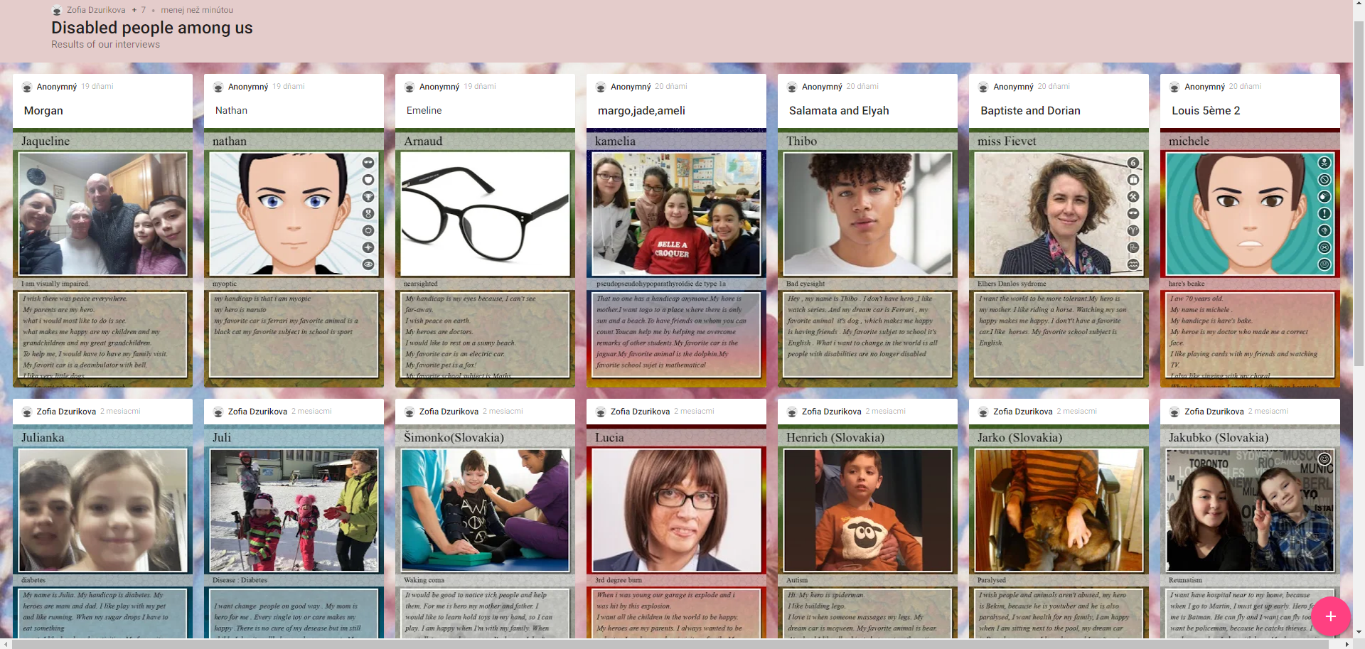 Ukážka výsledkov interview so zdravotne znevýhodnenými ľuďmi